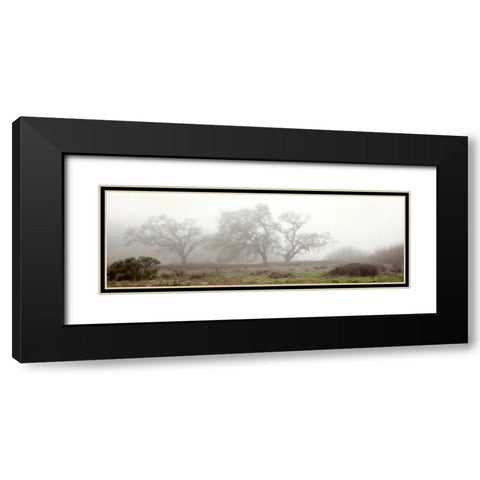 Oak Tree - 58 Black Modern Wood Framed Art Print with Double Matting by Blaustein, Alan