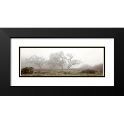 Oak Tree - 58 Black Modern Wood Framed Art Print with Double Matting by Blaustein, Alan