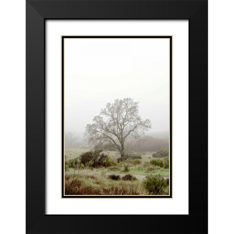 Oak Tree - 56 Black Modern Wood Framed Art Print with Double Matting by Blaustein, Alan