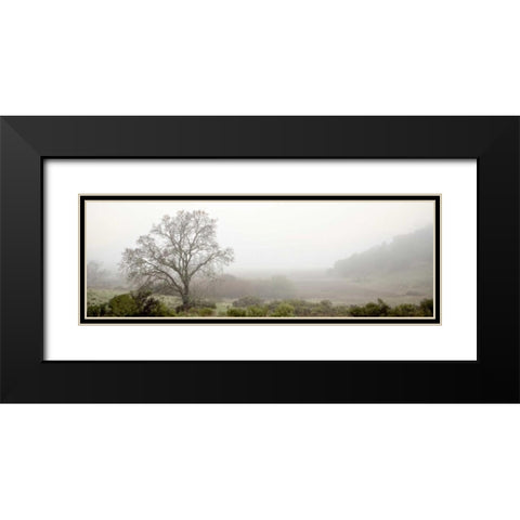 Oak Tree - 55 Black Modern Wood Framed Art Print with Double Matting by Blaustein, Alan
