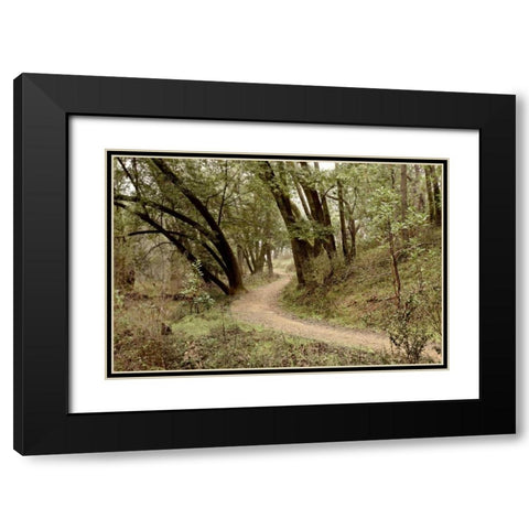 Oak Tree - 51 Black Modern Wood Framed Art Print with Double Matting by Blaustein, Alan