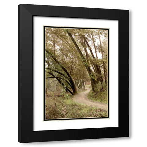 Oak Tree - 49 Black Modern Wood Framed Art Print with Double Matting by Blaustein, Alan