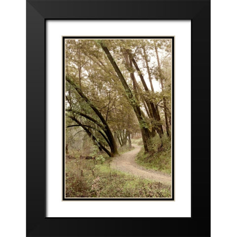 Oak Tree - 49 Black Modern Wood Framed Art Print with Double Matting by Blaustein, Alan