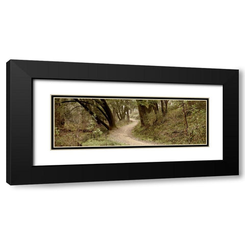 Oak Tree - 50 Black Modern Wood Framed Art Print with Double Matting by Blaustein, Alan