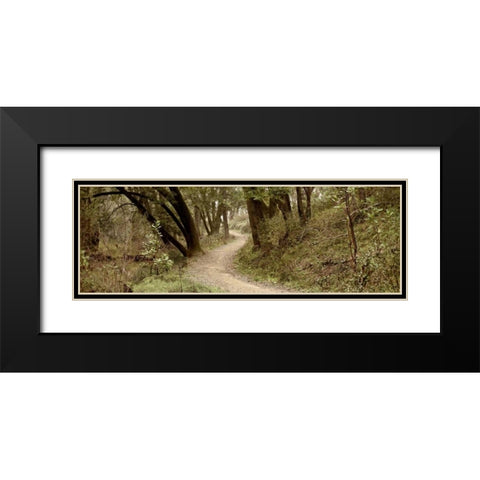 Oak Tree - 50 Black Modern Wood Framed Art Print with Double Matting by Blaustein, Alan