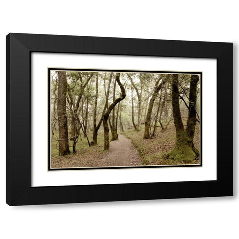 Oak Tree - 47 Black Modern Wood Framed Art Print with Double Matting by Blaustein, Alan