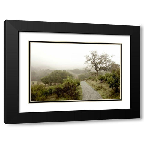 Oak Tree - 44 Black Modern Wood Framed Art Print with Double Matting by Blaustein, Alan