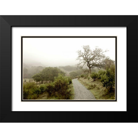 Oak Tree - 44 Black Modern Wood Framed Art Print with Double Matting by Blaustein, Alan