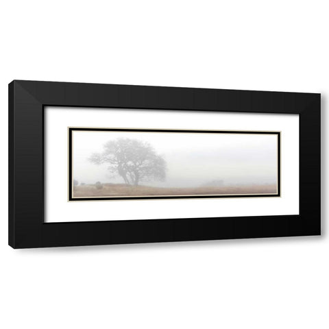 Oak Tree - 14 Black Modern Wood Framed Art Print with Double Matting by Blaustein, Alan