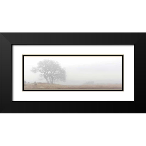Oak Tree - 14 Black Modern Wood Framed Art Print with Double Matting by Blaustein, Alan