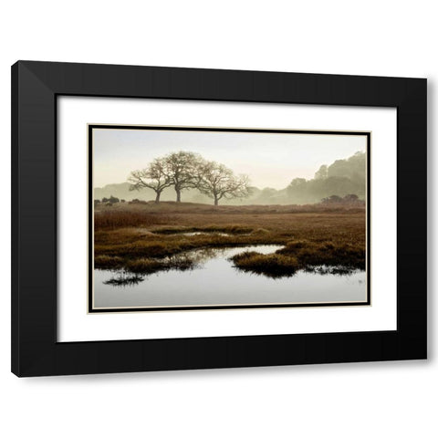 Oak Tree - 65 Black Modern Wood Framed Art Print with Double Matting by Blaustein, Alan