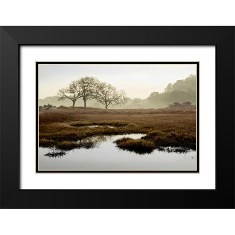 Oak Tree - 65 Black Modern Wood Framed Art Print with Double Matting by Blaustein, Alan
