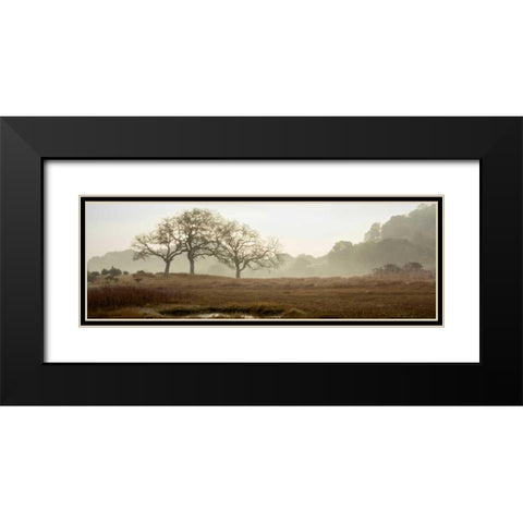 Oak Tree - 64 Black Modern Wood Framed Art Print with Double Matting by Blaustein, Alan
