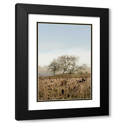 Oak Tree - 67 Black Modern Wood Framed Art Print with Double Matting by Blaustein, Alan