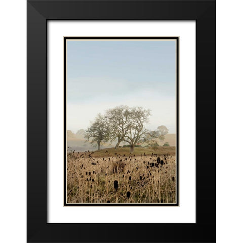 Oak Tree - 67 Black Modern Wood Framed Art Print with Double Matting by Blaustein, Alan