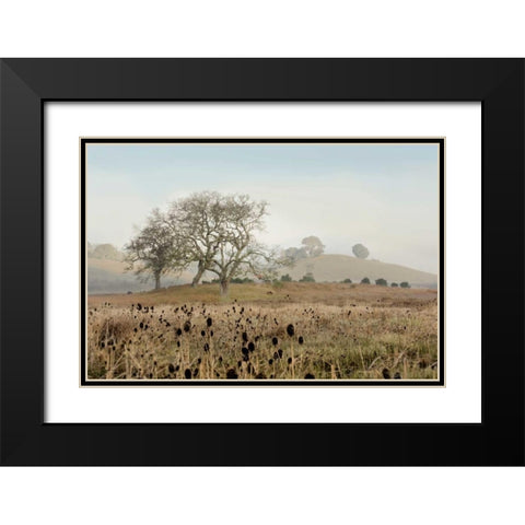 Oak Tree - 68 Black Modern Wood Framed Art Print with Double Matting by Blaustein, Alan