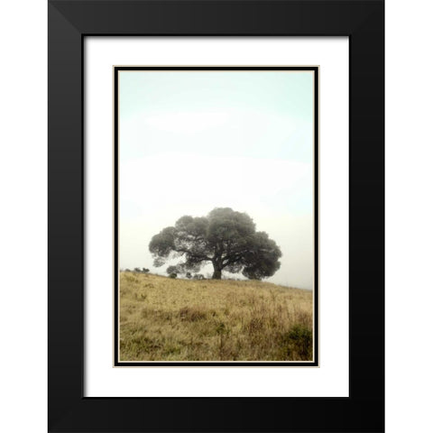 Oak Tree - 52 Black Modern Wood Framed Art Print with Double Matting by Blaustein, Alan