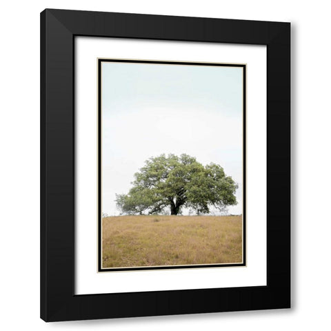 Oak Tree - 73 Black Modern Wood Framed Art Print with Double Matting by Blaustein, Alan