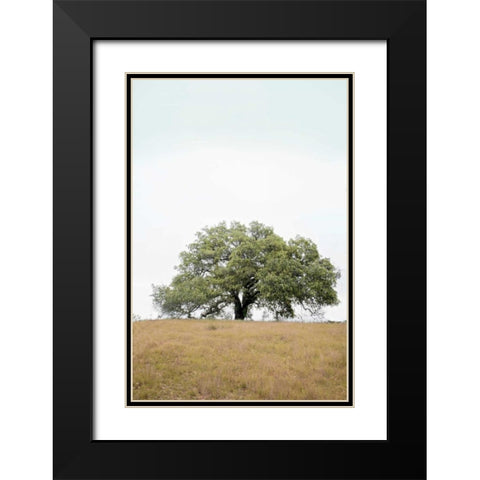 Oak Tree - 73 Black Modern Wood Framed Art Print with Double Matting by Blaustein, Alan
