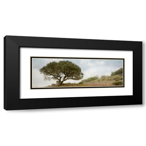 Oak Tree - 76 Black Modern Wood Framed Art Print with Double Matting by Blaustein, Alan