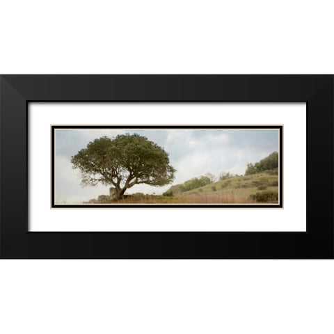 Oak Tree - 76 Black Modern Wood Framed Art Print with Double Matting by Blaustein, Alan