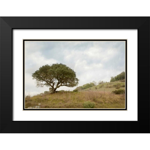 Oak Tree - 75 Black Modern Wood Framed Art Print with Double Matting by Blaustein, Alan