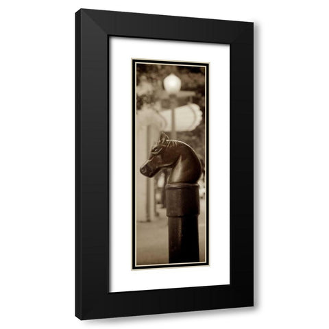 Hitching Post Pano - 1 Black Modern Wood Framed Art Print with Double Matting by Blaustein, Alan