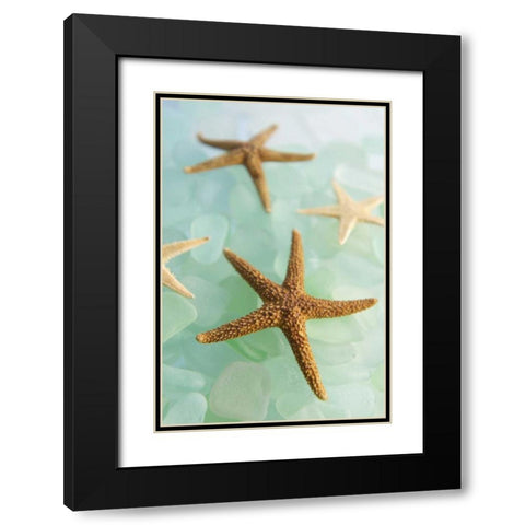 Crystal Cove - 30 Black Modern Wood Framed Art Print with Double Matting by Blaustein, Alan