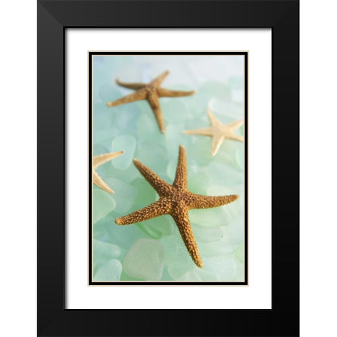 Crystal Cove - 30 Black Modern Wood Framed Art Print with Double Matting by Blaustein, Alan