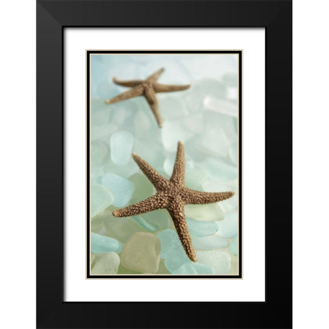 Crystal harbor - 33 Black Modern Wood Framed Art Print with Double Matting by Blaustein, Alan
