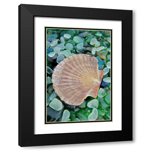 Crystal Cove - 25 Black Modern Wood Framed Art Print with Double Matting by Blaustein, Alan