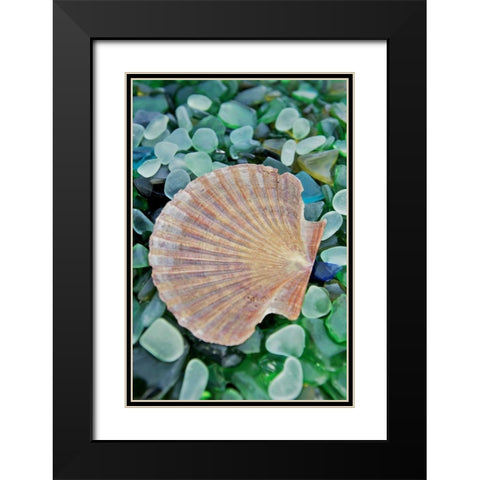 Crystal Cove - 25 Black Modern Wood Framed Art Print with Double Matting by Blaustein, Alan