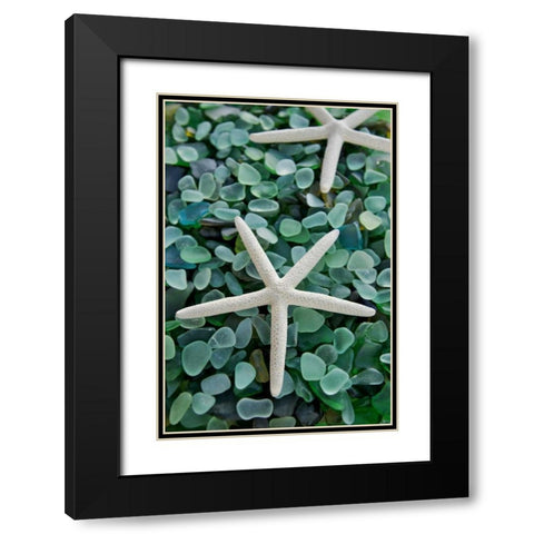 Crystal Harbor - 21 Black Modern Wood Framed Art Print with Double Matting by Blaustein, Alan