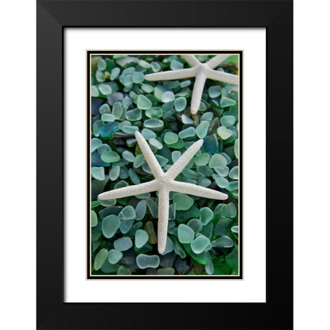 Crystal Harbor - 21 Black Modern Wood Framed Art Print with Double Matting by Blaustein, Alan