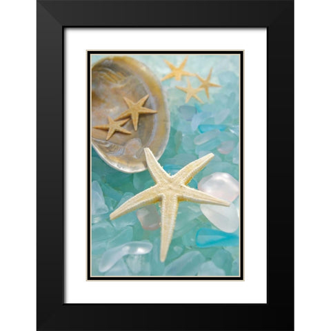 Crystal Harbor - 2 Black Modern Wood Framed Art Print with Double Matting by Blaustein, Alan