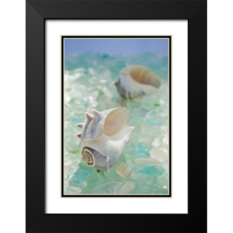 Crystal Harbor - 1 Black Modern Wood Framed Art Print with Double Matting by Blaustein, Alan