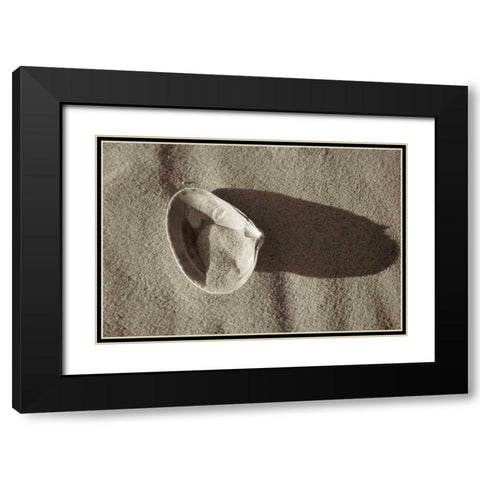 Crystal Harbor - 35 Black Modern Wood Framed Art Print with Double Matting by Blaustein, Alan