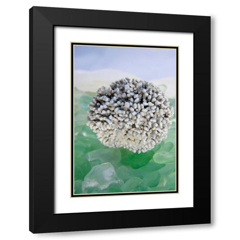 Crystal Harbor - 34 Black Modern Wood Framed Art Print with Double Matting by Blaustein, Alan