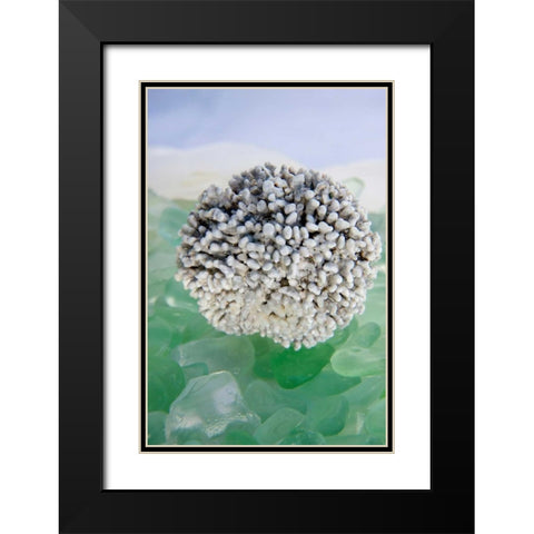 Crystal Harbor - 34 Black Modern Wood Framed Art Print with Double Matting by Blaustein, Alan