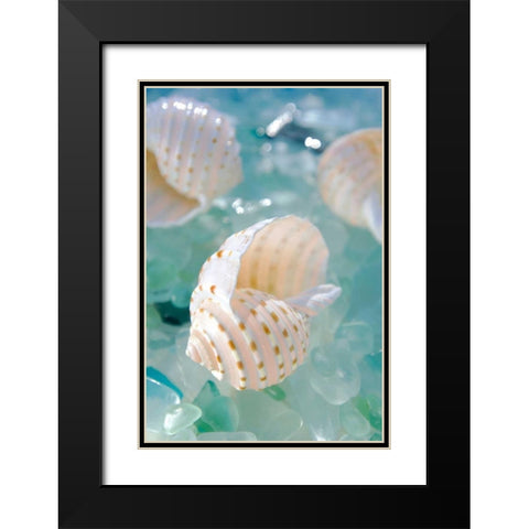 Crystal Cove - 24 Black Modern Wood Framed Art Print with Double Matting by Blaustein, Alan