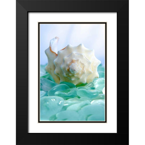 Crystal Harbor - 24 Black Modern Wood Framed Art Print with Double Matting by Blaustein, Alan