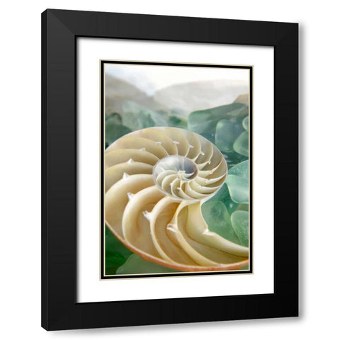 Crystal Cove - 27 Black Modern Wood Framed Art Print with Double Matting by Blaustein, Alan