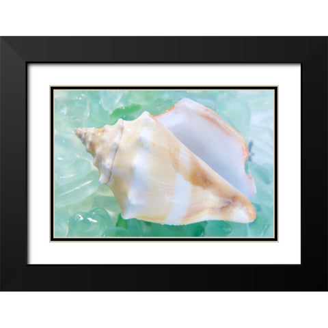 Crystal Cove - 28 Black Modern Wood Framed Art Print with Double Matting by Blaustein, Alan