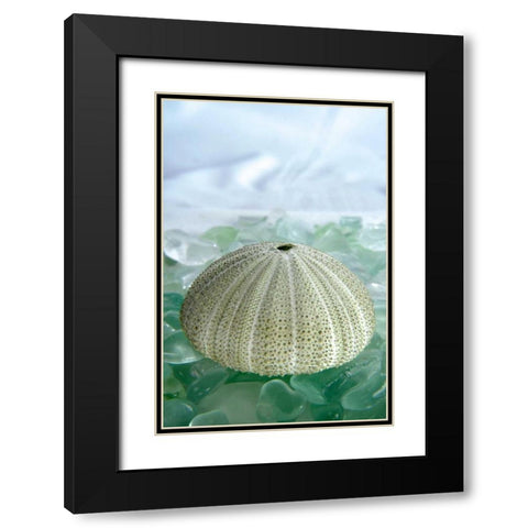 Crystal Harbor - 23 Black Modern Wood Framed Art Print with Double Matting by Blaustein, Alan