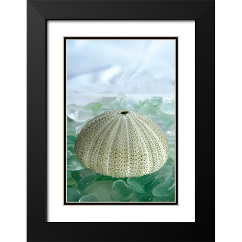 Crystal Harbor - 23 Black Modern Wood Framed Art Print with Double Matting by Blaustein, Alan