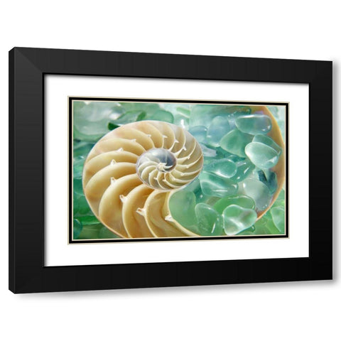 Crystal Harbor - 26 Black Modern Wood Framed Art Print with Double Matting by Blaustein, Alan