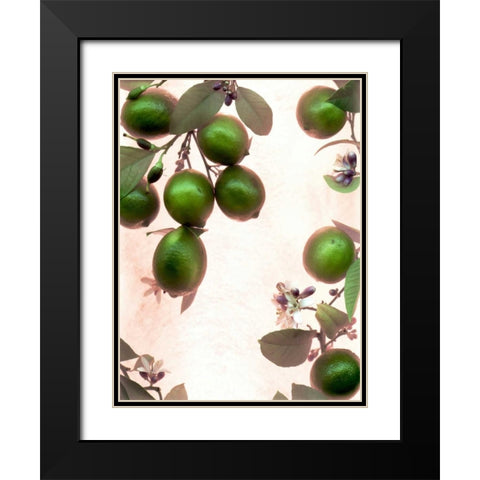 Limes - 1 Black Modern Wood Framed Art Print with Double Matting by Blaustein, Alan
