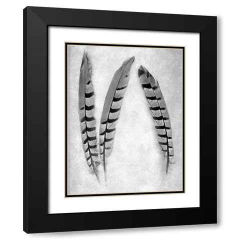 Feather B-W - 1 Black Modern Wood Framed Art Print with Double Matting by Blaustein, Alan