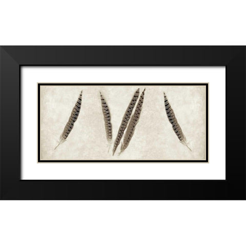 Feather Panel - 2 Black Modern Wood Framed Art Print with Double Matting by Blaustein, Alan