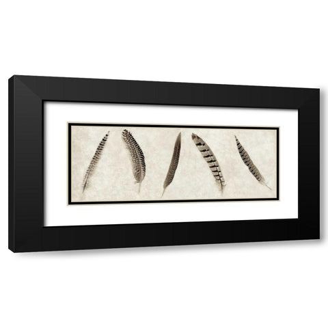 Feathers Panel - 1 Black Modern Wood Framed Art Print with Double Matting by Blaustein, Alan